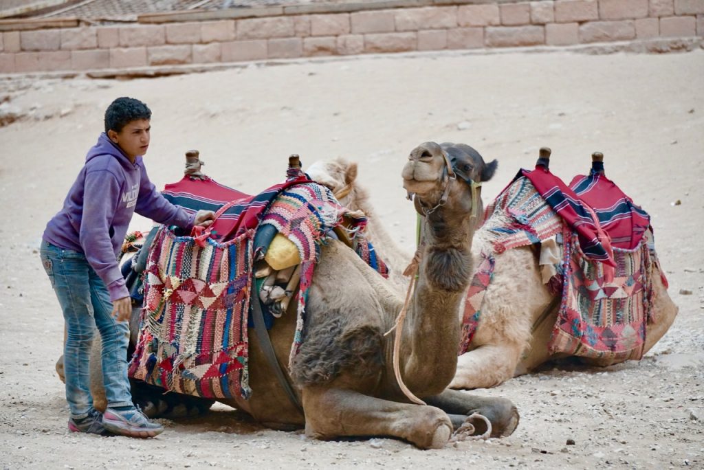 A young camel driver in the Petra valley
